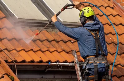 Démoussage et hydrofuge de toiture à Tramery